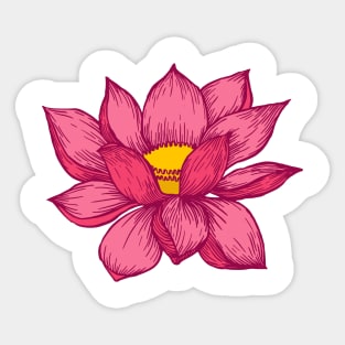 Pink Lotus Flower Sticker